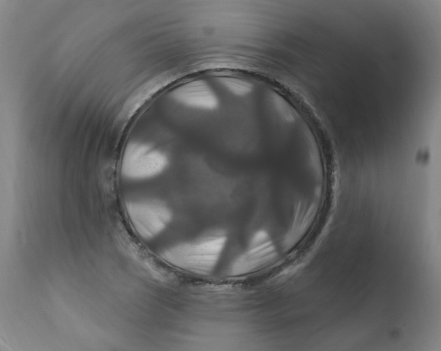 X0000112201121200909041310