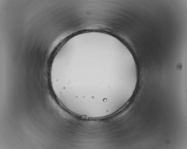 X0000112201122200909041310