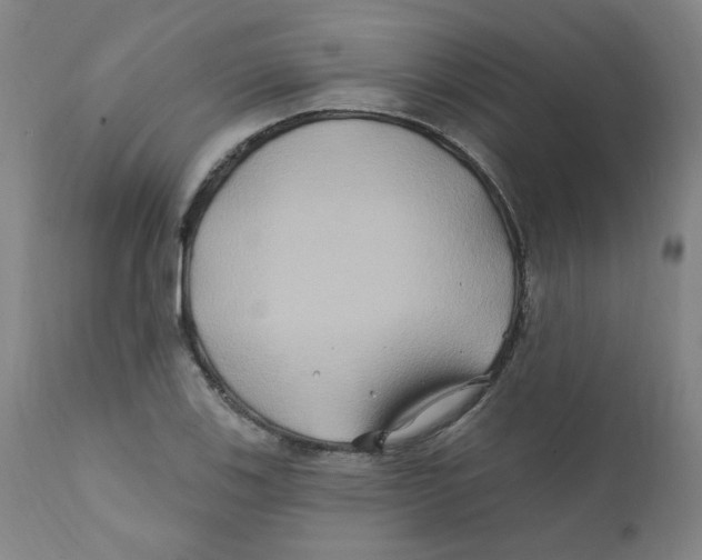 X0000112201123200909041310