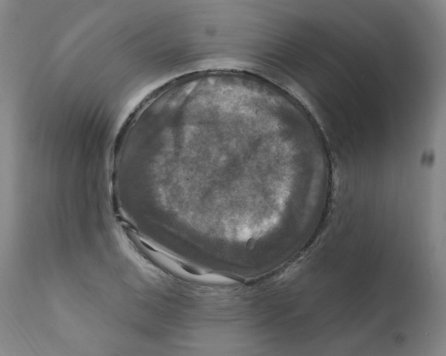 X0000112201124200909041310