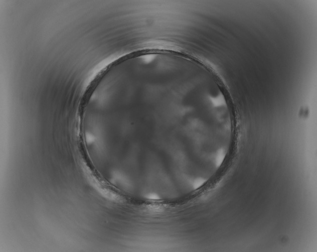 X0000112201125200909041310