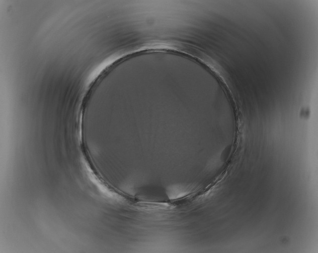 X0000112201127200909041310