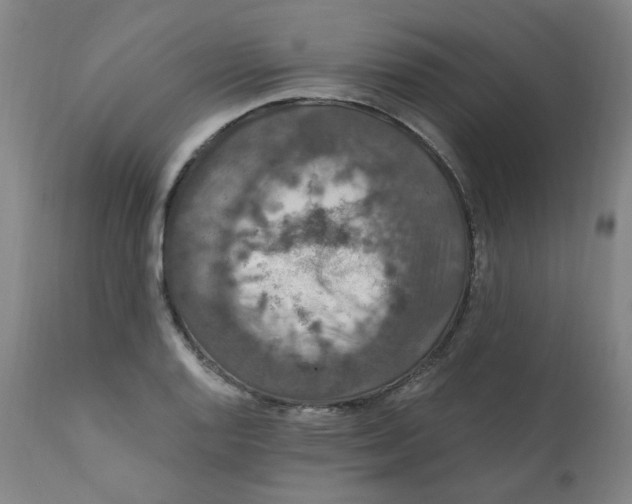 X0000112201128200909041310