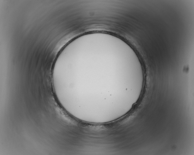 X0000112201129200909041310