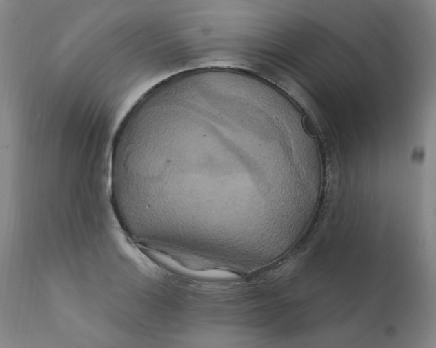 X0000112201132200909041310