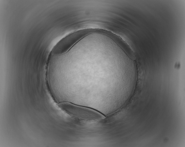 X0000112201134200909041310