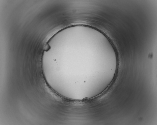 X0000112201137200909041310