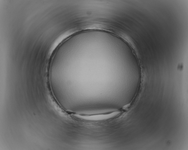 X0000112201138200909041310
