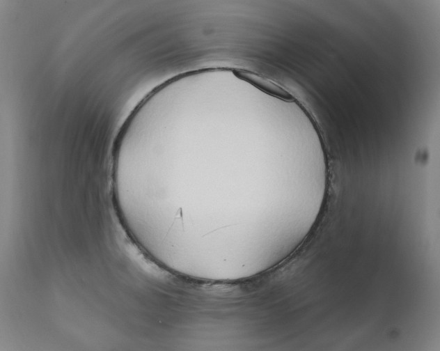 X0000112201140200909041311
