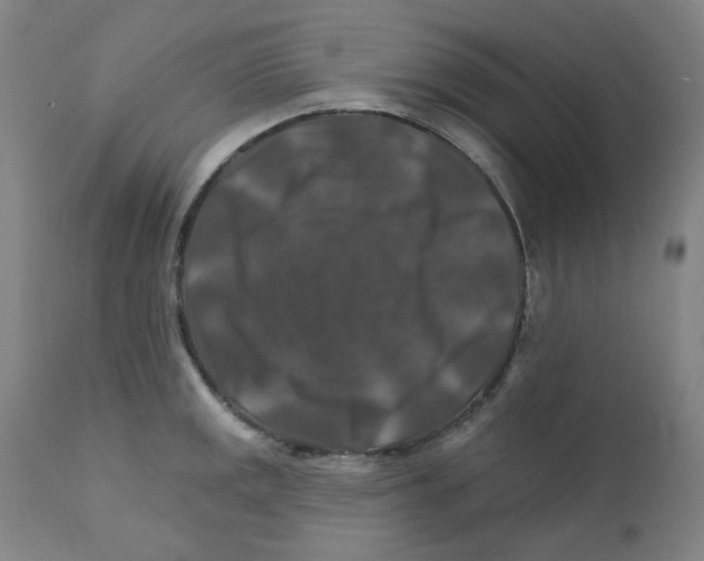 X0000112201141200909041311