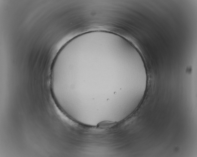 X0000112201143200909041311