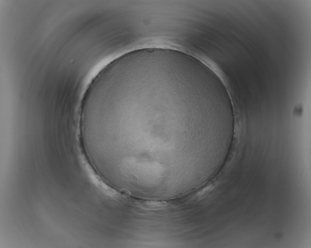 X0000112201144200909041311