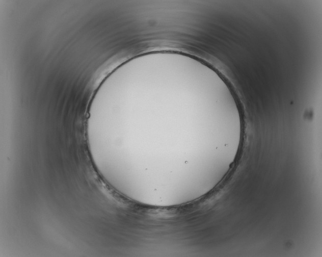 X0000112201145200909041311