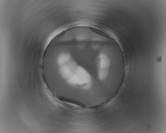 X0000112201146200909041311