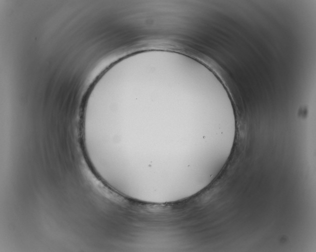 X0000112201147200909041311