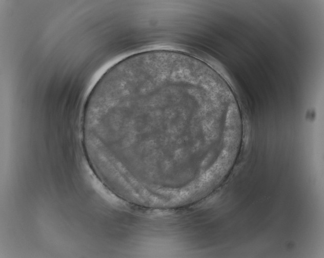 X0000112201148200909041311