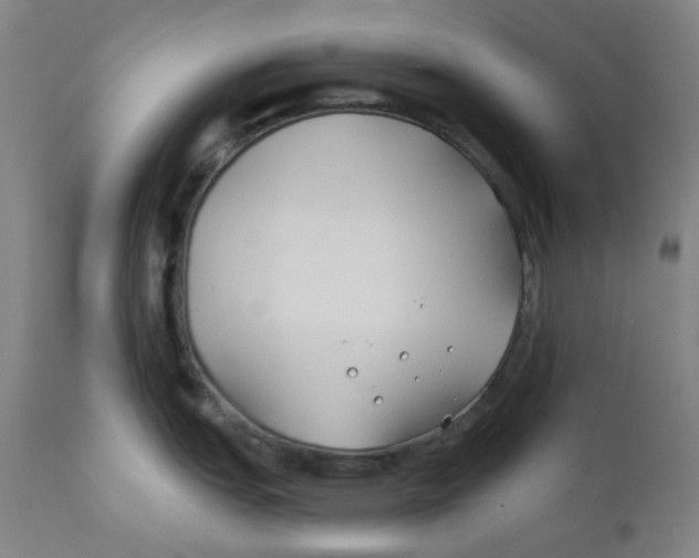 X0000112201151200909041311