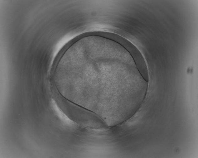 X0000112201152200909041311