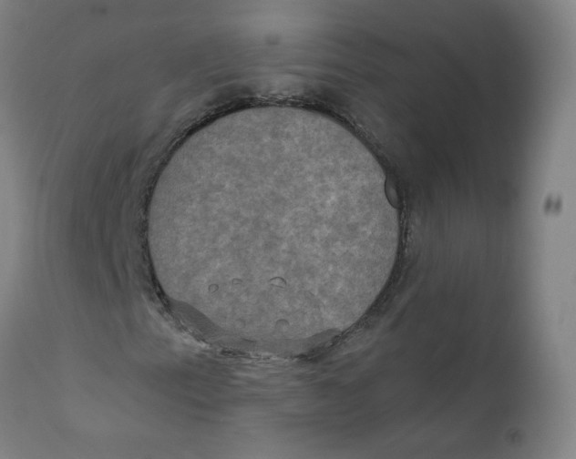 X0000112201153200909041310