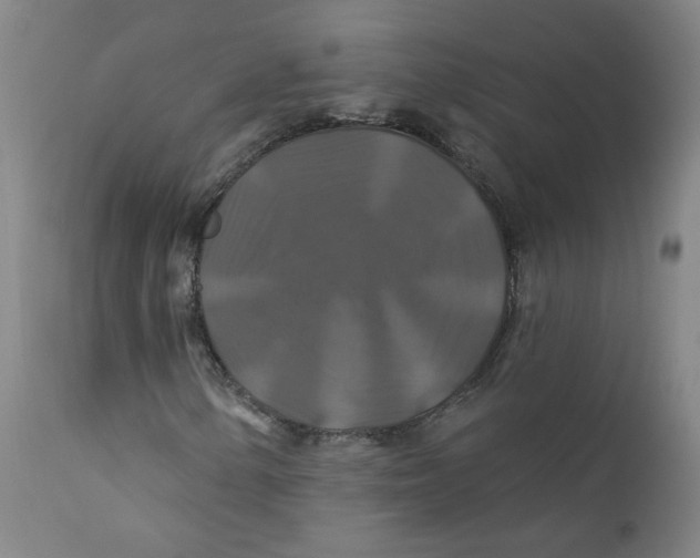 X0000112201154200909041310