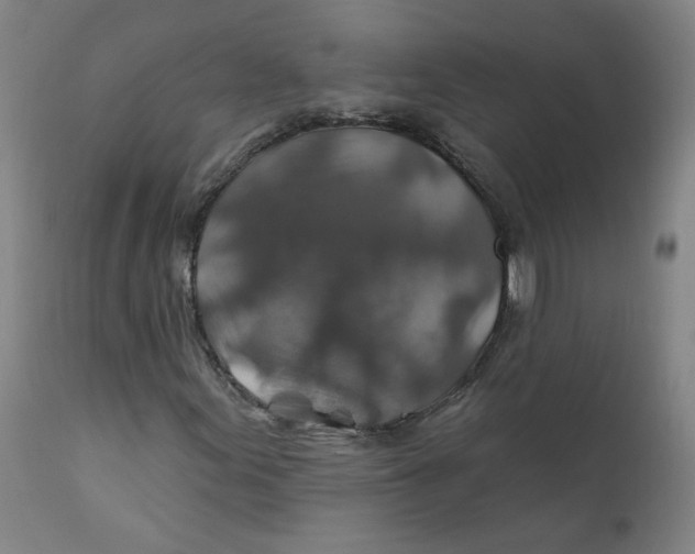X0000112201155200909041310