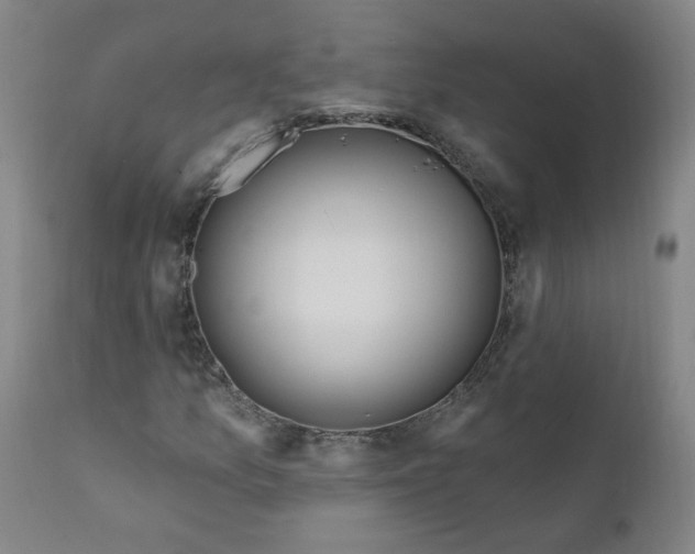 X0000112201157200909041310