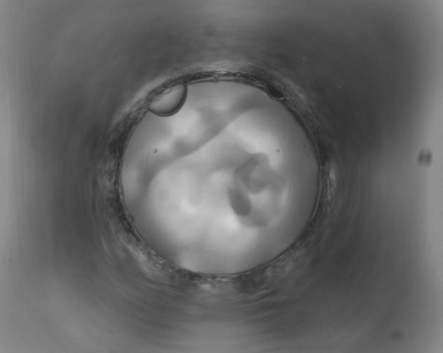 X0000112201158200909041310