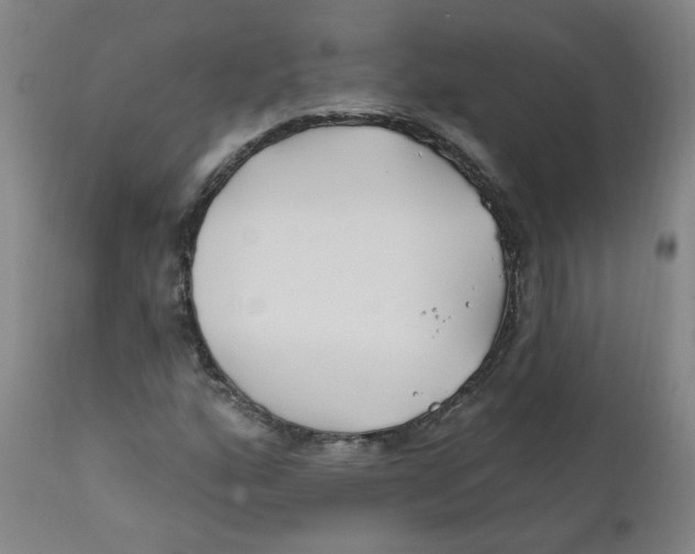 X0000112201160200909041310