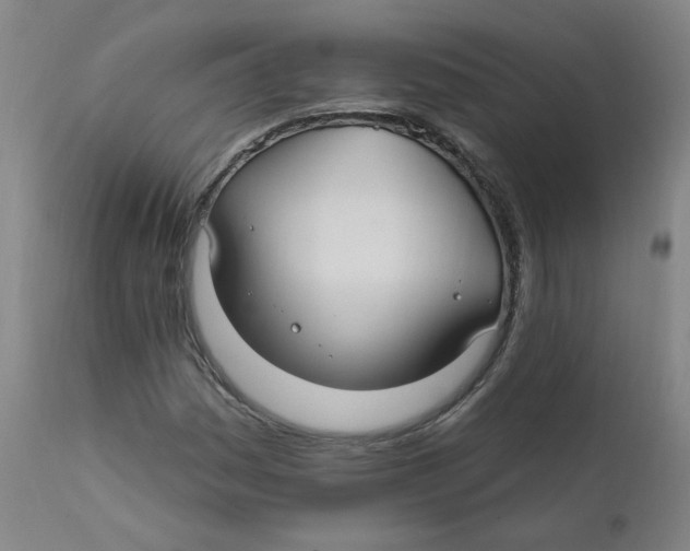 X0000112201161200909041310