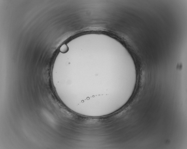 X0000112201162200909041310