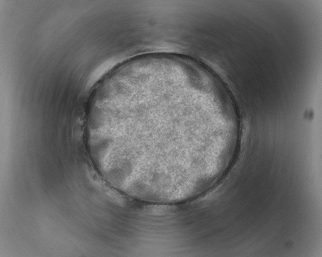 X0000112201163200909041310