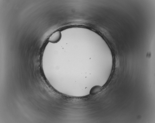 X0000112201164200909041310