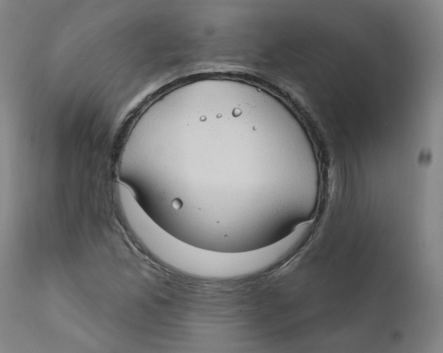 X0000112201165200909041310