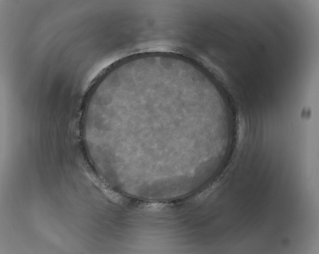 X0000112201166200909041310