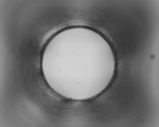 X0000112201167200909041310