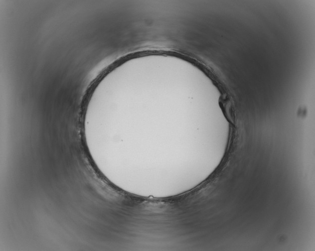 X0000112201168200909041310