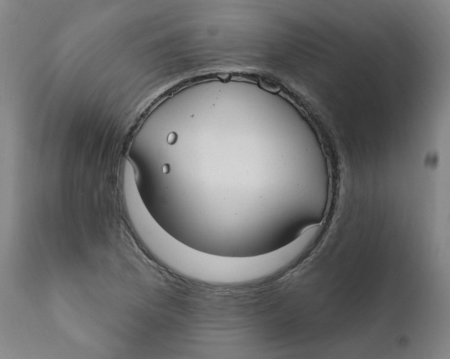 X0000112201169200909041310