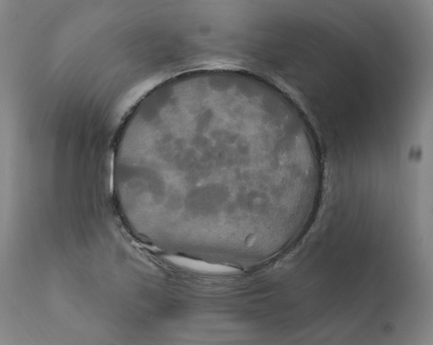 X0000112201171200909041310