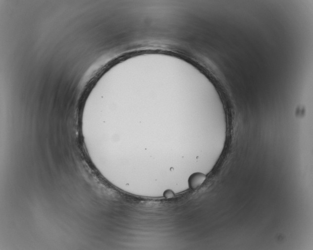 X0000112201172200909041310