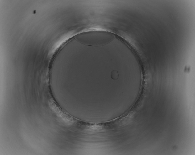 X0000112201173200909041310