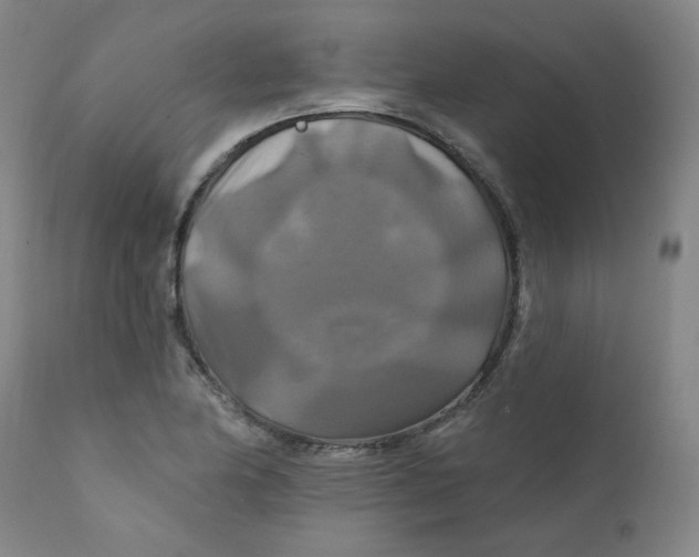X0000112201174200909041310