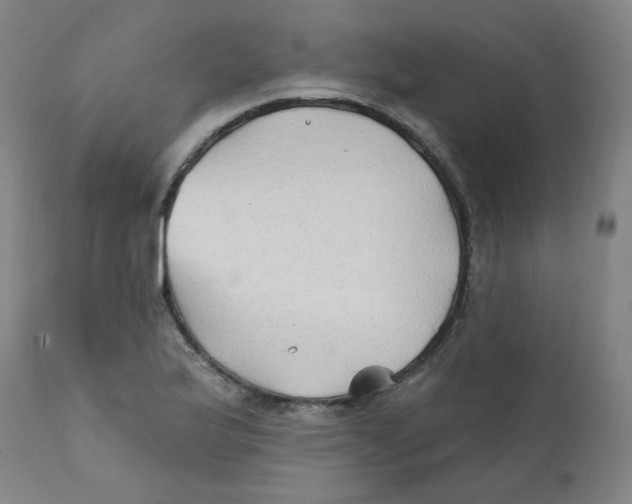 X0000112201175200909041310