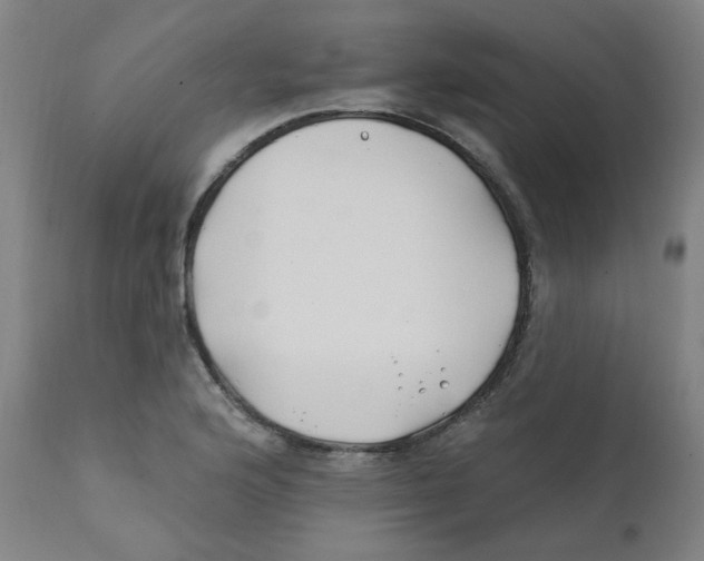 X0000112201176200909041310