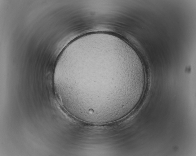 X0000112201177200909041310