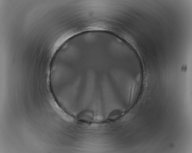 X0000112201179200909041310