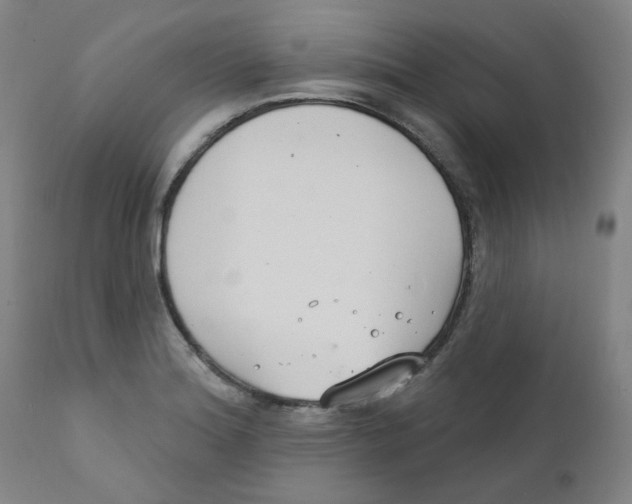 X0000112201180200909041310