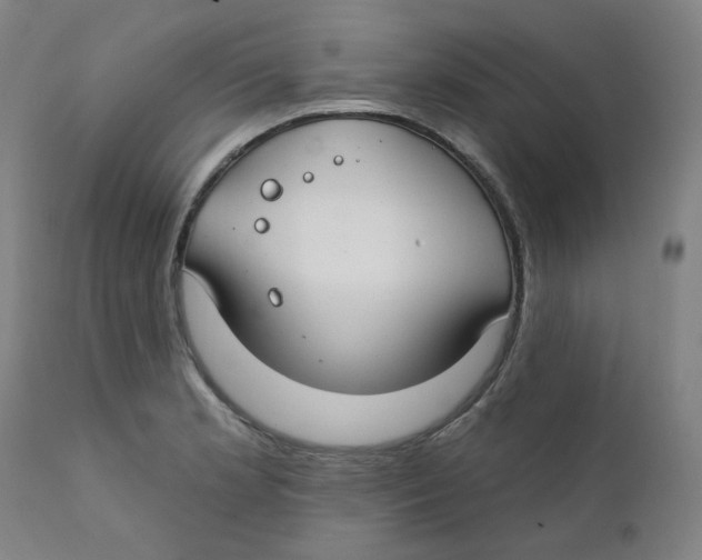 X0000112201181200909041310
