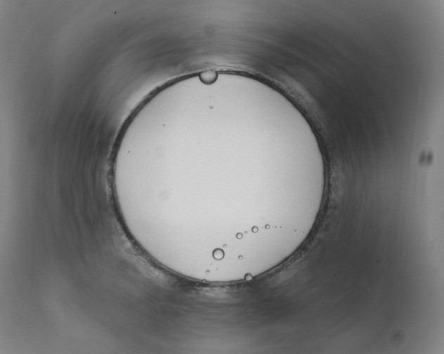 X0000112201182200909041310