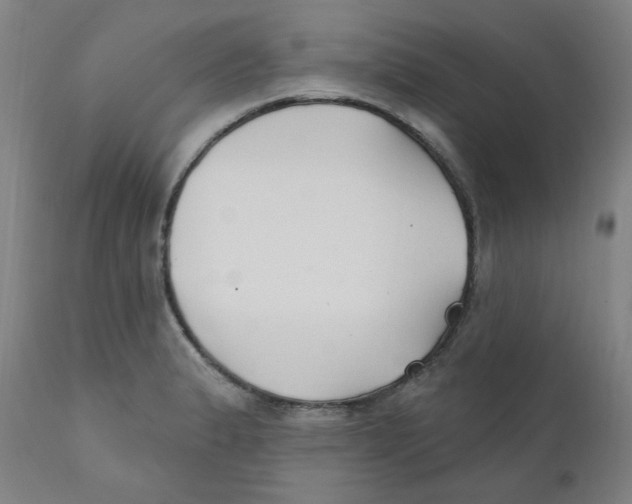 X0000112201183200909041310