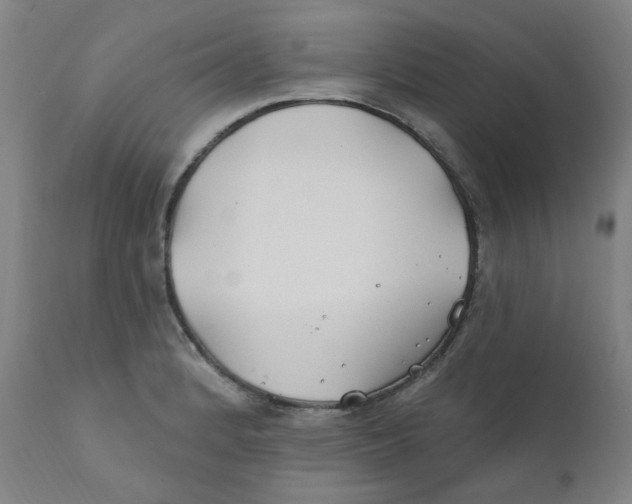 X0000112201184200909041310